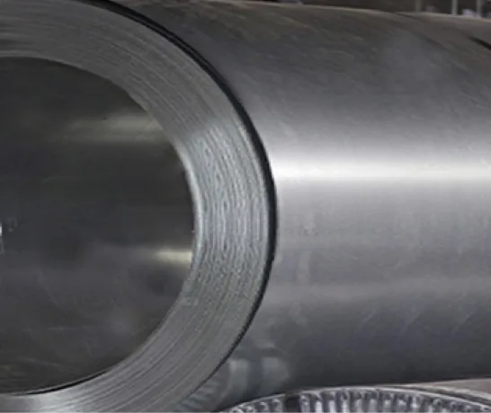 WPS Cast (Polyamide 6) Film is multi-layered
                              non-oriented film Image